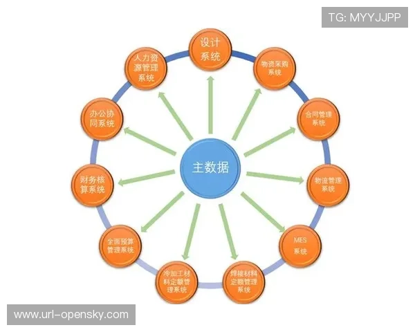 数据质量校验流程标准化，确保统计口径统一